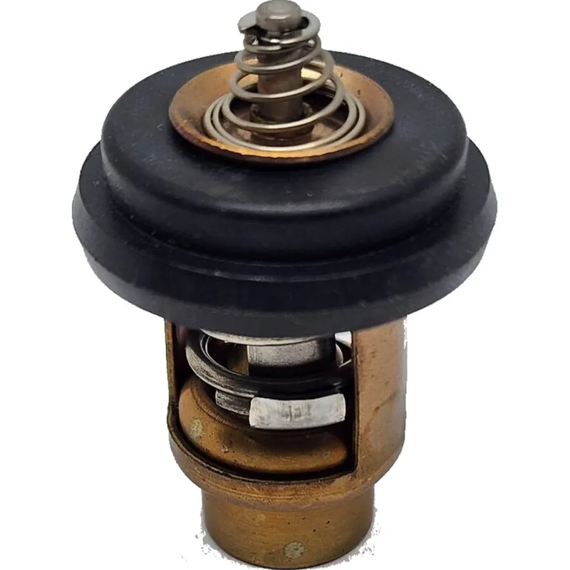 Thermostat MERCURY und TOHATZU 6 bis 18 PS 2-Takt Aktuell