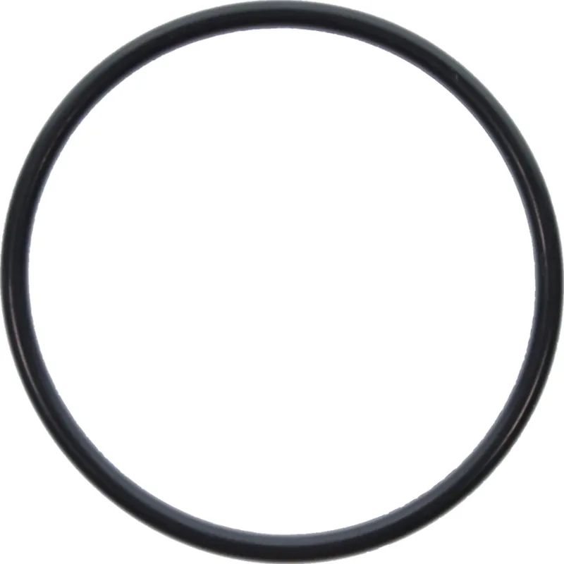 Kostenfreie Lieferung O-Ring TOHATSU 54,4x3,1