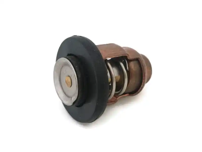 Johnson / Evinrude / Mercury Thermostat Kit 50C (0310058 / 434841) Gleich Bestellen