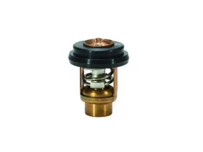Mercury Thermostaat (8M0186873) Top-Qualität