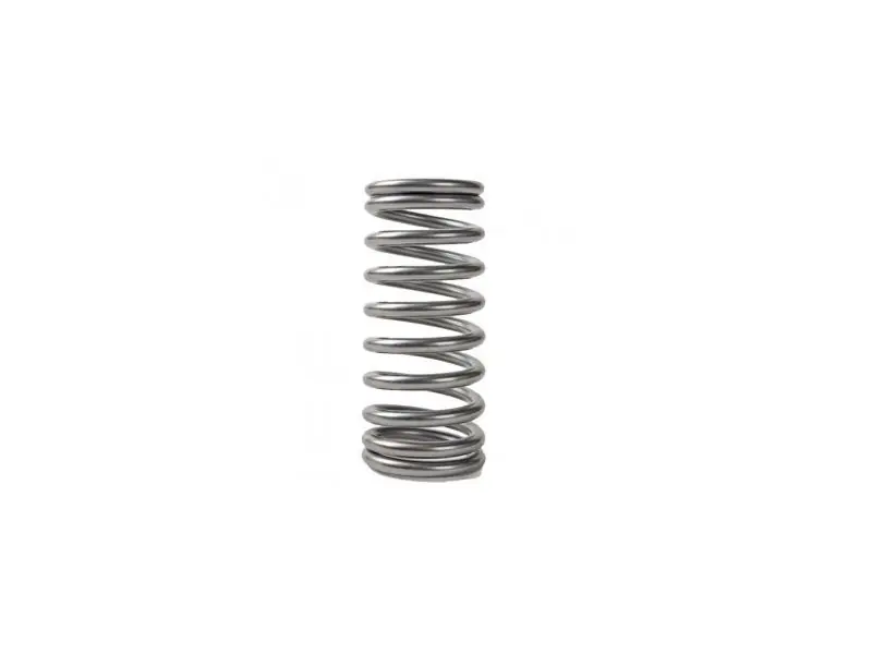 Sonderangebot Yamaha / Mercury / Parsun Ventilfeder FT, F20, F25, F50, F60 (ALL) (1998-08) 51Y-12119-00 24-823678