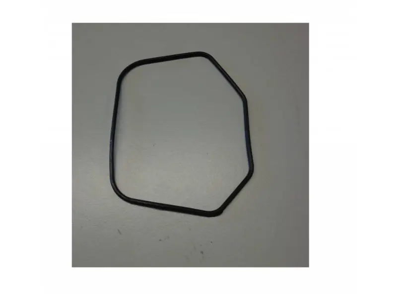 Super-Preis Yamaha Valve Cover Seal F4 / F5 / F6 06+ (6BX-11356-00-00)