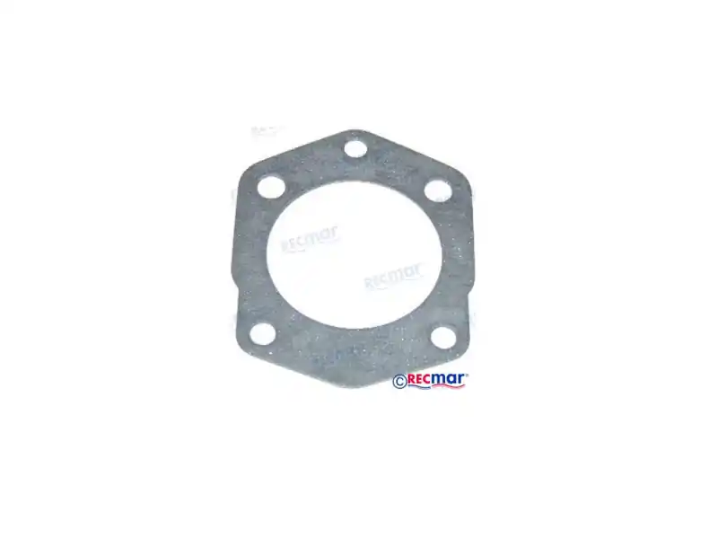 Mega-Angebot Yamaha Kraftstoffpumpe Dichtung 100 bis 300 PS (6E5-24434-02-00)
