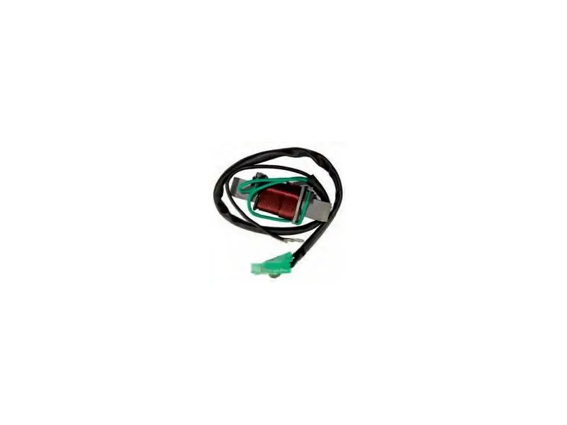 Mengenrabatt Yamaha Coil Lighting 40 HP 2-Stroke (66T-85533-00)