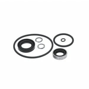 Nur Heute Johnson Evinrude Dichtungssatz Und Dichtungen 40 PS elektric shift (GLM87621)