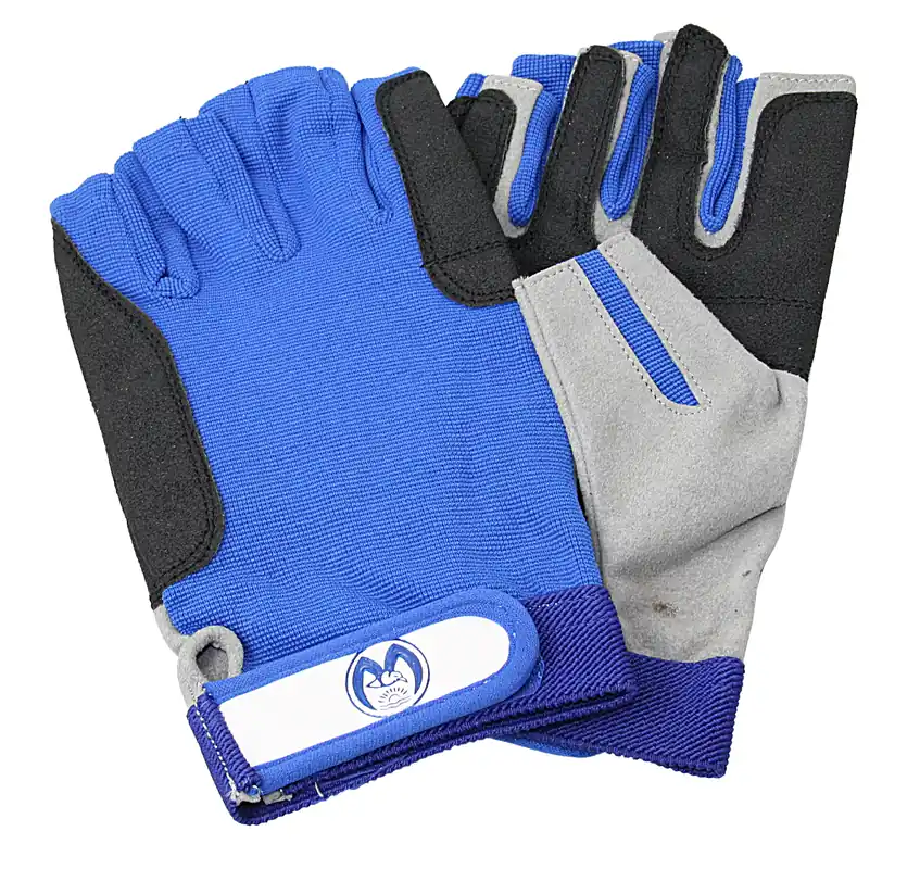 Highlight Segelhandschuh Amara grau/blau 5-Finger offen L